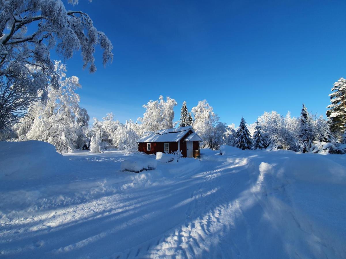 Luxury Guesthouse 'Lodge Lagom' - Hammarstrand-Jaemtland 外观 照片