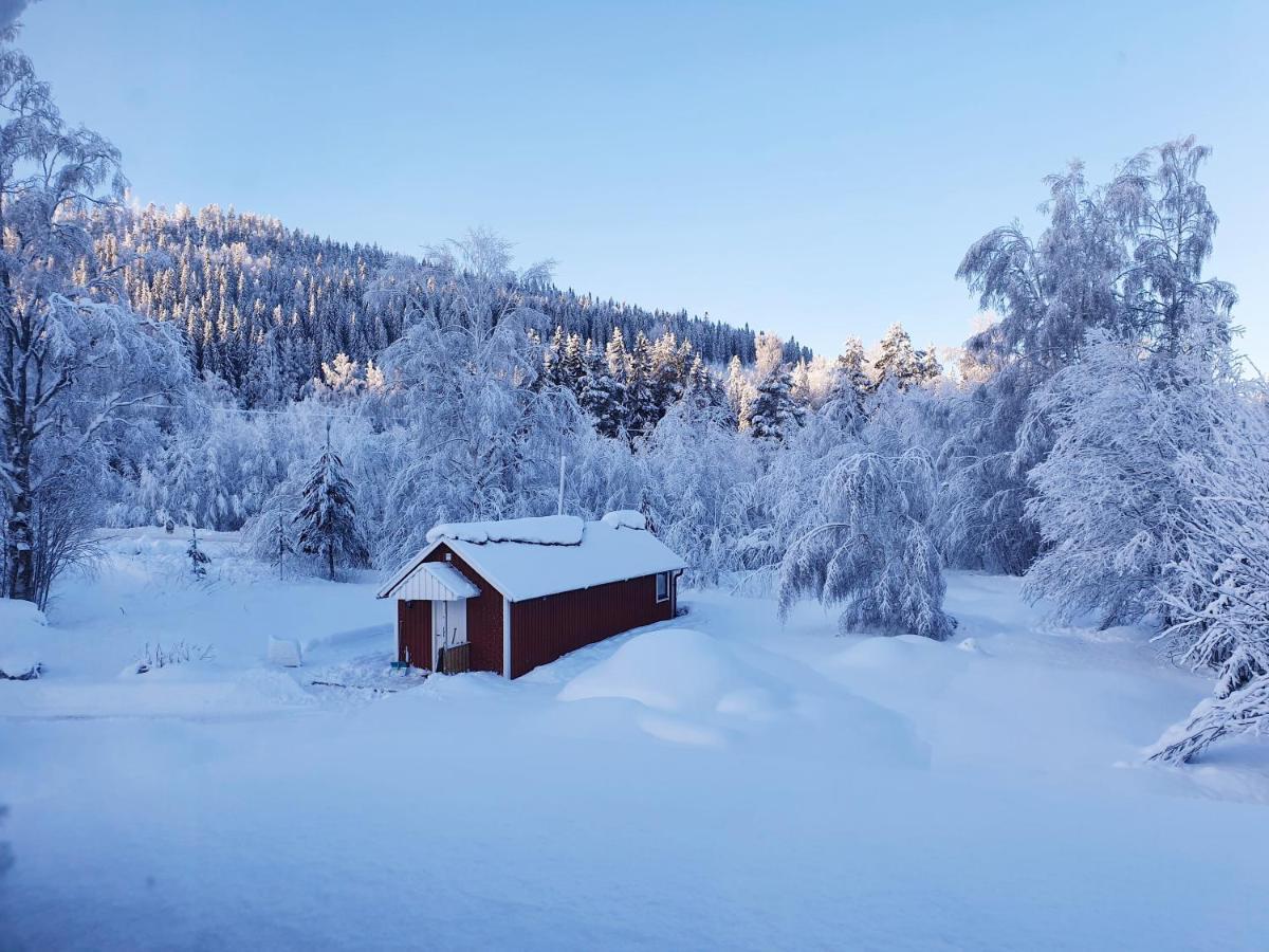 Luxury Guesthouse 'Lodge Lagom' - Hammarstrand-Jaemtland 外观 照片