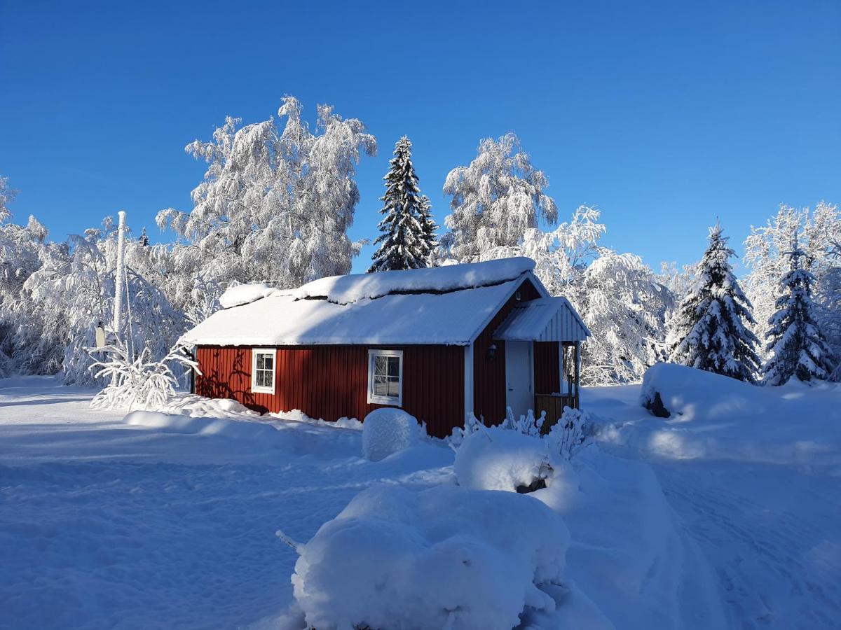 Luxury Guesthouse 'Lodge Lagom' - Hammarstrand-Jaemtland 外观 照片